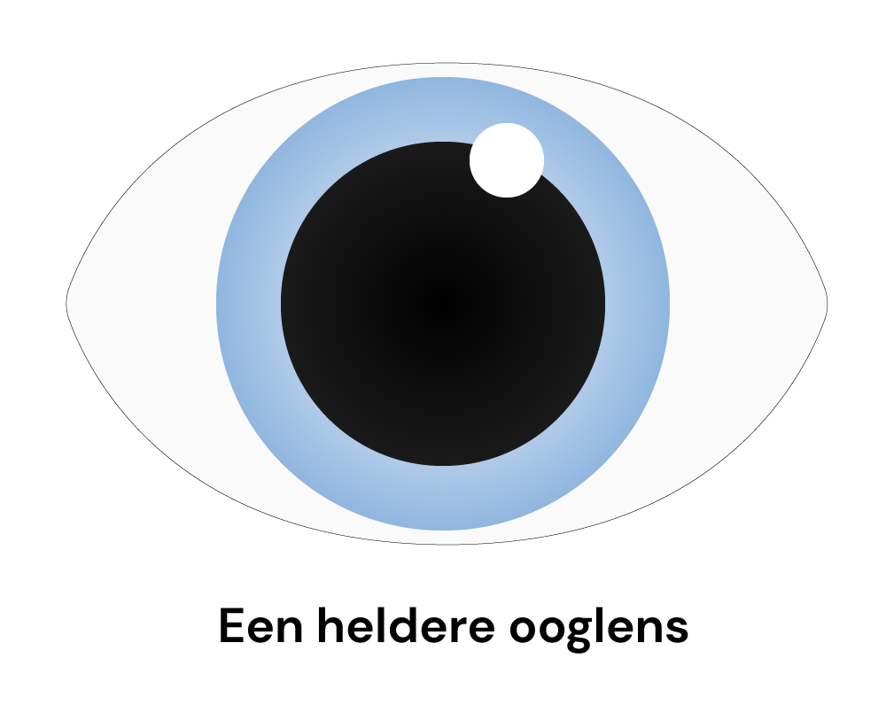 Een tekening van een heldere ooglens